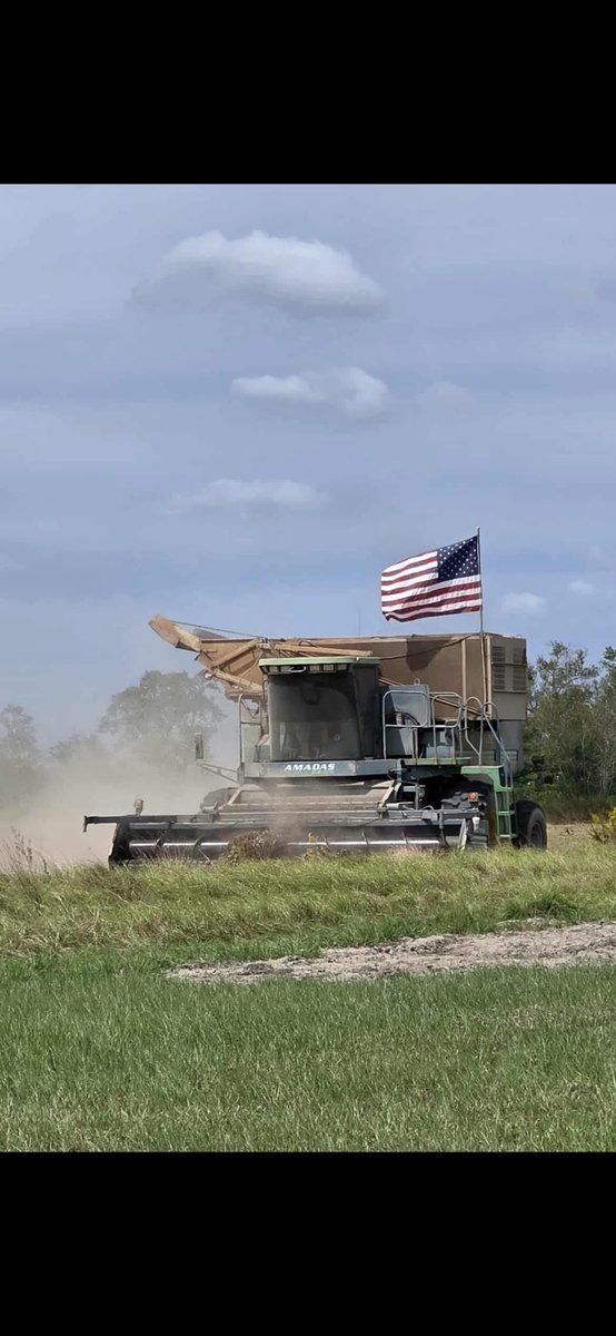 audmkamp1's tweet photo. Come on internet, do your thing! 😃
Anyone know peanut farmers near South Shore? My sister would like this farmer to read about how big of a vacation highlight this ride-along was for my nephew. If so, give the post a share to help this thank you message reach him.
#harvest25 https://t.co/ezFlDCCXgN