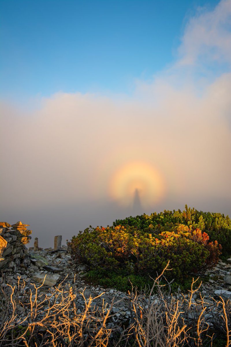Maks_NAFO_FELLA's tweet photo. 🇺🇦👀 A rare phenomenon - "Brokensky ghost" recorded in the Carpathians.

This is a unique atmospheric phenomenon, when a person's shadow is cast on clouds or fog, surrounded by bright rings of sunlight. https://t.co/23wj8VDsBP