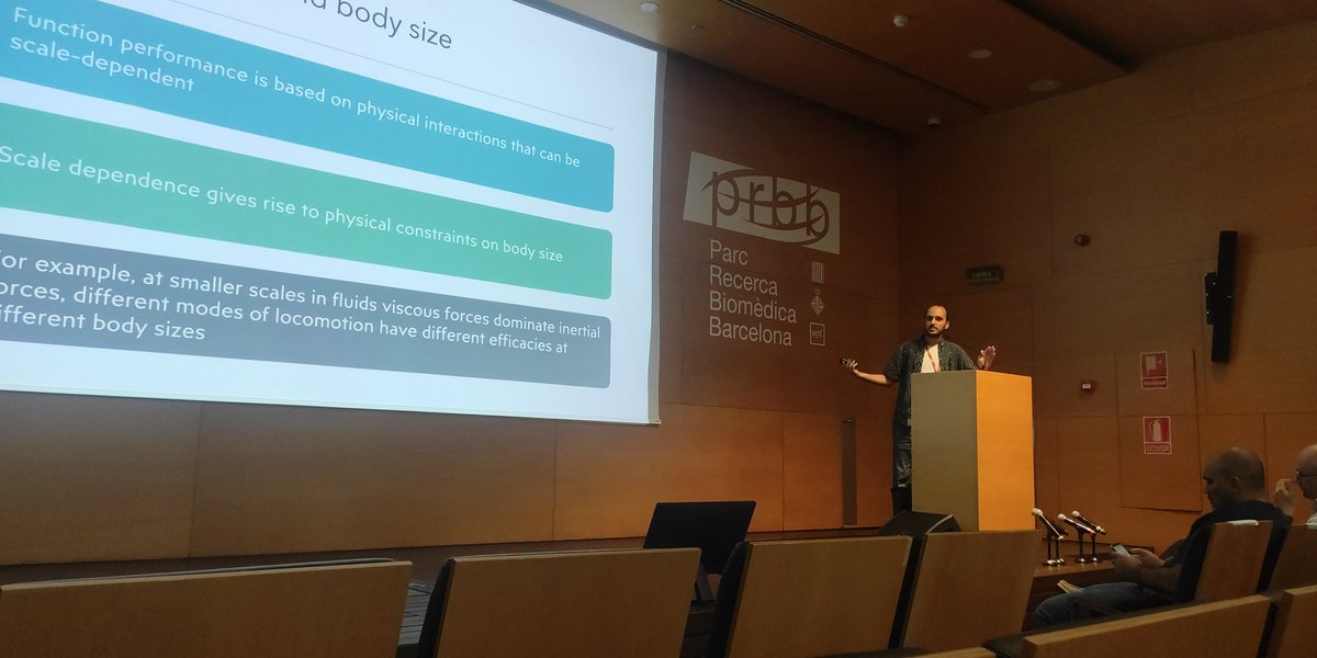 MartonaAlvarez's tweet photo. Arsham Nejad is talking on body size and physical constraints in the evolution of complex multicellularity. #Multicellverse https://t.co/fQFuvEVbk2