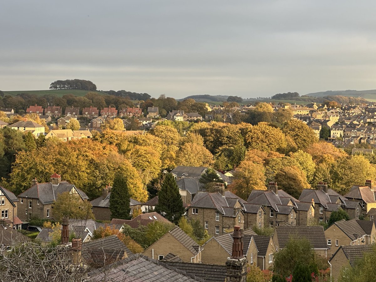 BCA1967's tweet image. BCA Hogshaw wood bathed in glorious evening light. 

#BCAWoods
#Buxton
#PeakDistrict