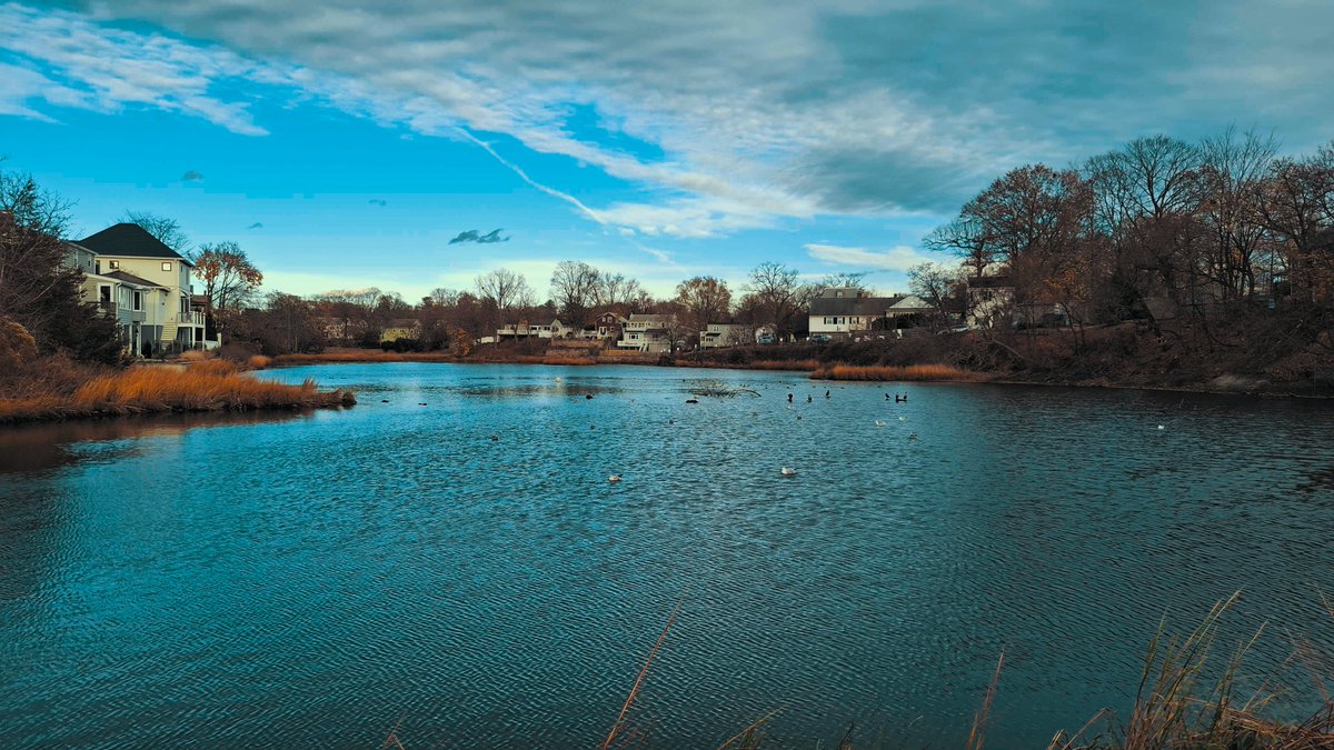 John Toland (Temptor) tweet media