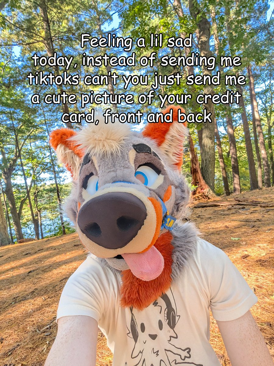 PartDoggo's tweet image. Please 🥺
