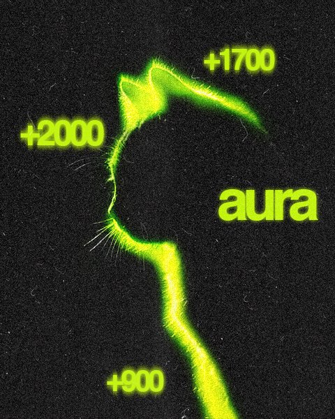 IamCryptoBadger tweet media