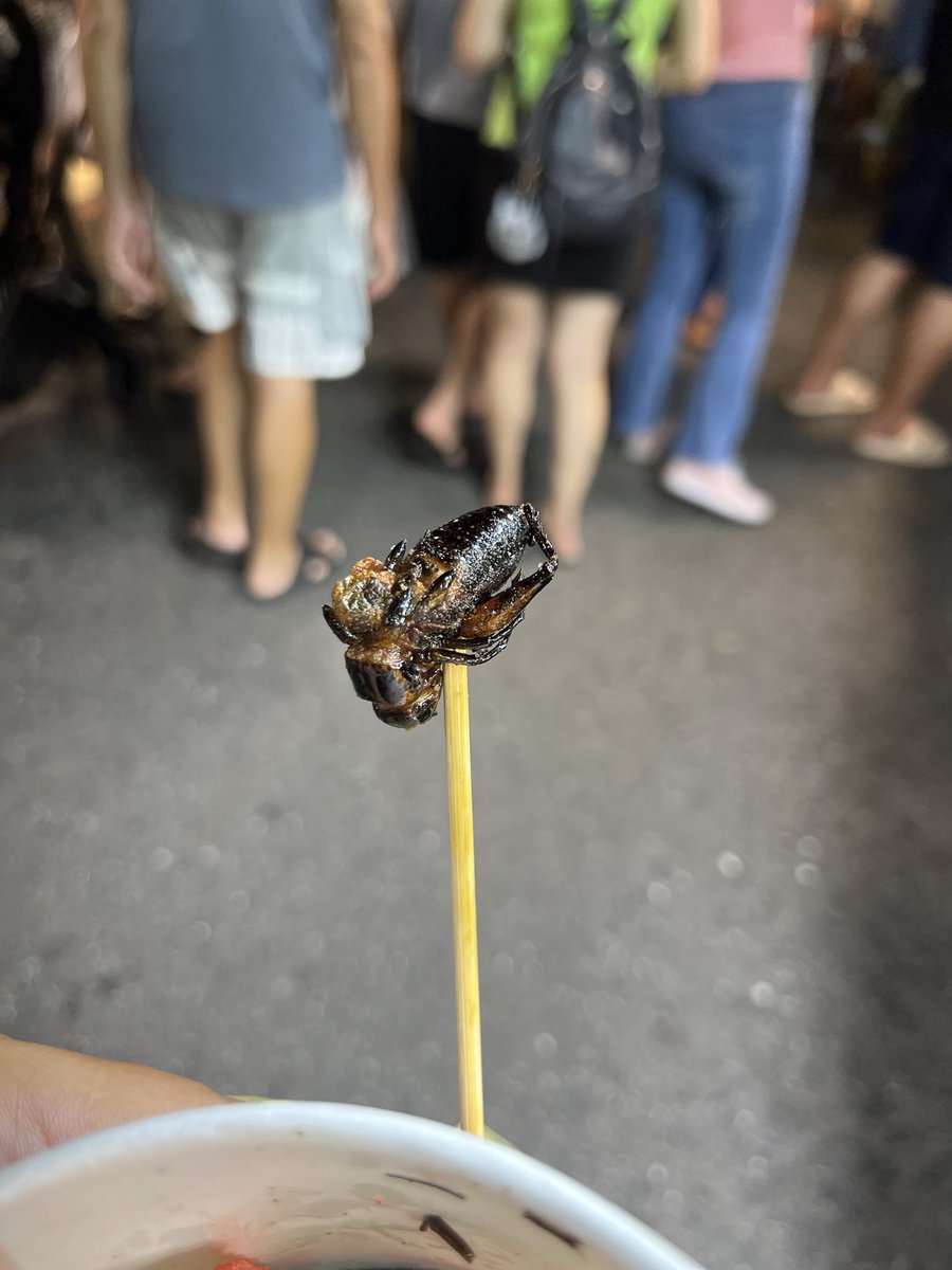 萬年季有什麼必吃的？
.
.
.
蟋蟀吧🦗
認真的不開玩笑☺️ https://t.co/ehyCTI2kCT