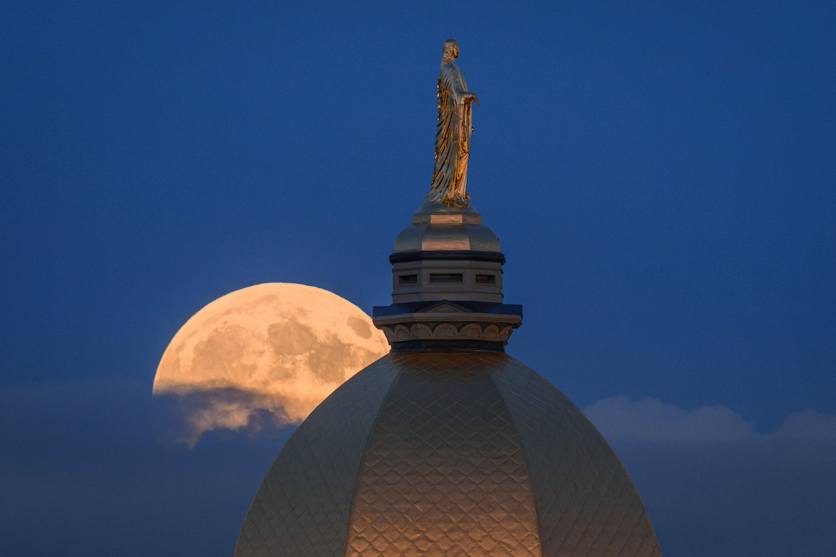 Photo of the Week: Full of Grace
📸: Matt Cashore ’94