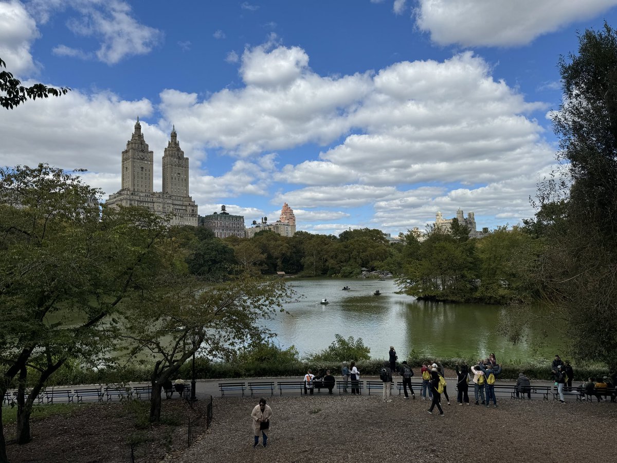 Beautiful park. They should still turn this into housing.