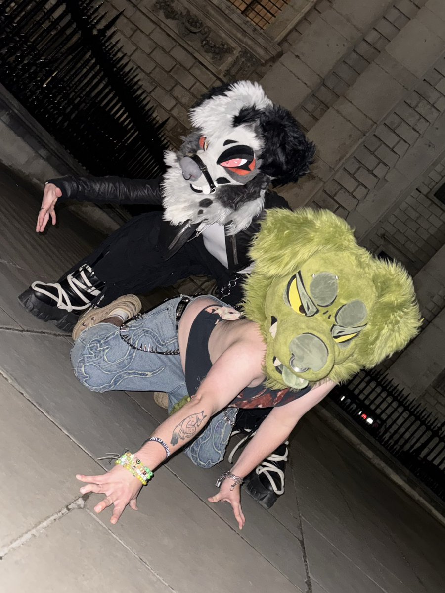 peltyeah's tweet image. wild, loose and on the way to GET YOU ‼️