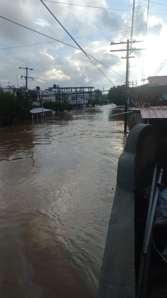 FundacionToby's tweet photo. Se desbordó el río en poza rica Veracruz,  mi familia y muchas mas estan bajo el agua. Me angustia mucho la gente y los animales... por favor México, estemos al pendiente para ayudar 😭 yo no puedo ir ahorita por que no nos estan permitiendo pasar pero en cuanto baje el agua y me lo permitan, me voy a ayudar.