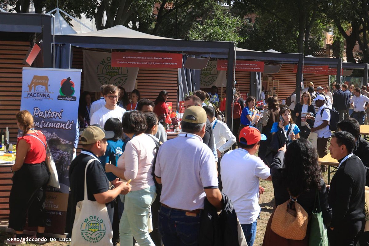 FAO Director-General QU Dongyu tweet media