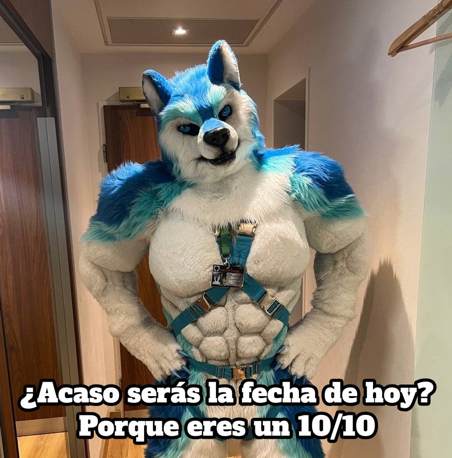 Coulder Werefox (less active) (@coulderbluefox) on Twitter photo 