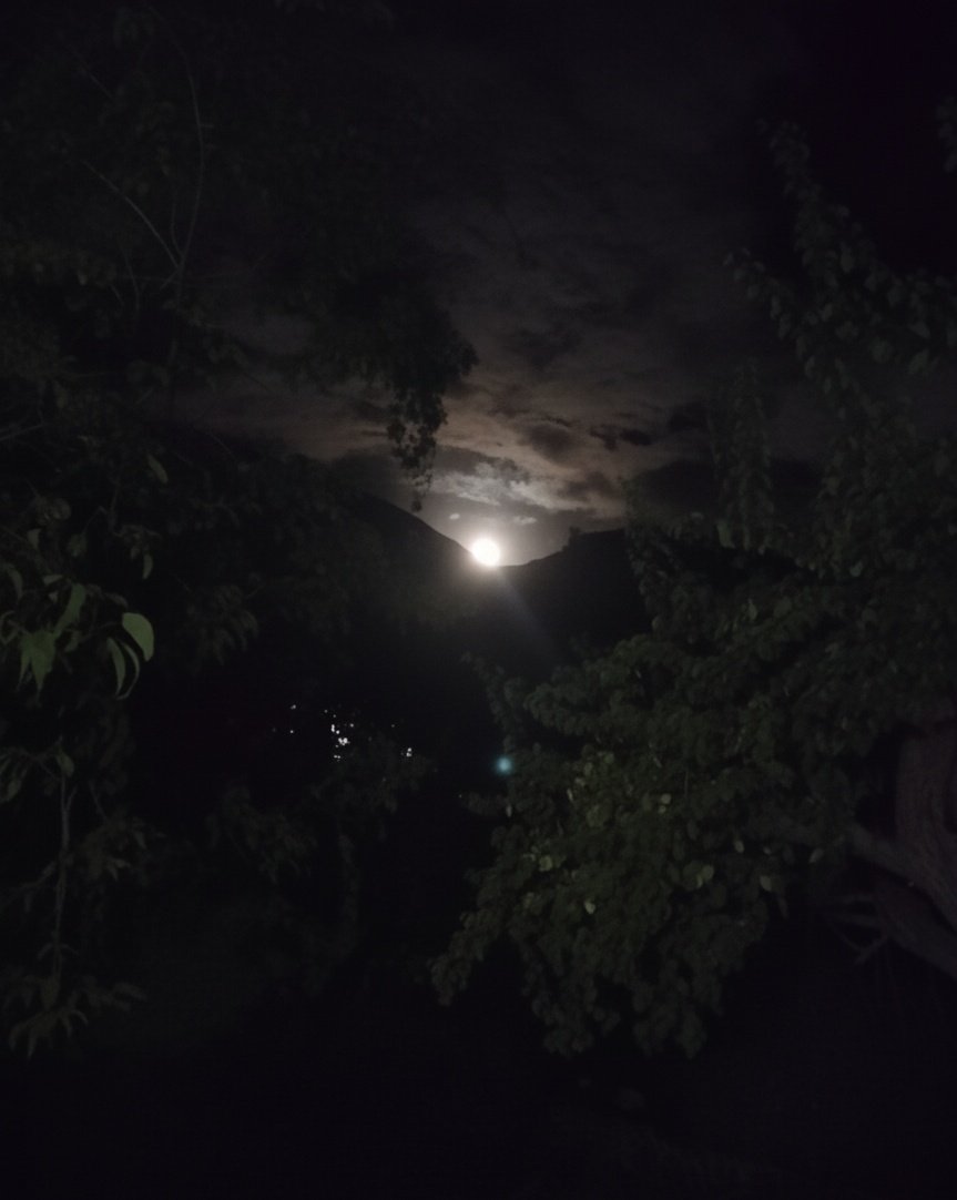 anamhussain90's tweet image. A mysterious moon peeking through the trees on a cloudy night 🌙🌳☁️
#moonpeeking #cloudynight #gilgit
