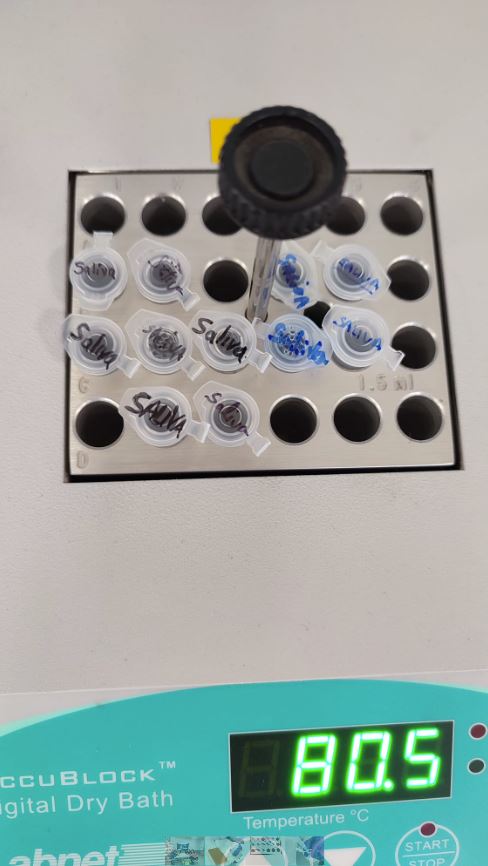 Edu_saliva tweet media