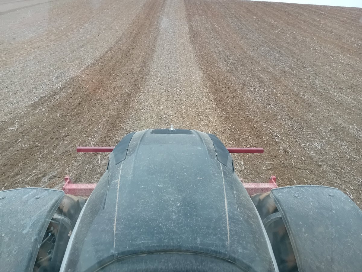 GuyotVincent02's tweet image. Ce matin, mission #Accomply (c'est le nom de la variété de #blé 🌾 de @GroupeFDesprez ) dans la parcelle nommée #spacemontain . Grâce au #carrierdrill de @vaderstad , le boulot est plutôt pas mal même dans les argiles.