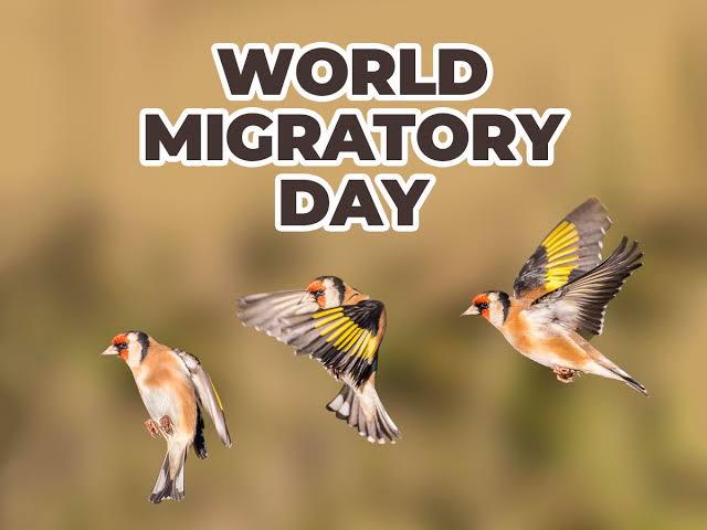 🕊️ بمناسبة #اليوم_العالمي_للطيور_المهاجرة الذي يوافق ١١ أكتوبر، هذه لمحة عن ورقتنا العلمية الحديثة حول ما يمكن أن نتعلمه من الطيور المهاجرة في فهم وعلاج اضطرابات النوم والساعة البيولوجية لدى الإنسان.

🕊️💤 لنتعلم من أجنحة الطيور كيف نحلّق نحو نومٍ وصحةٍ أفضل…

📄 سلسلة تغريدات