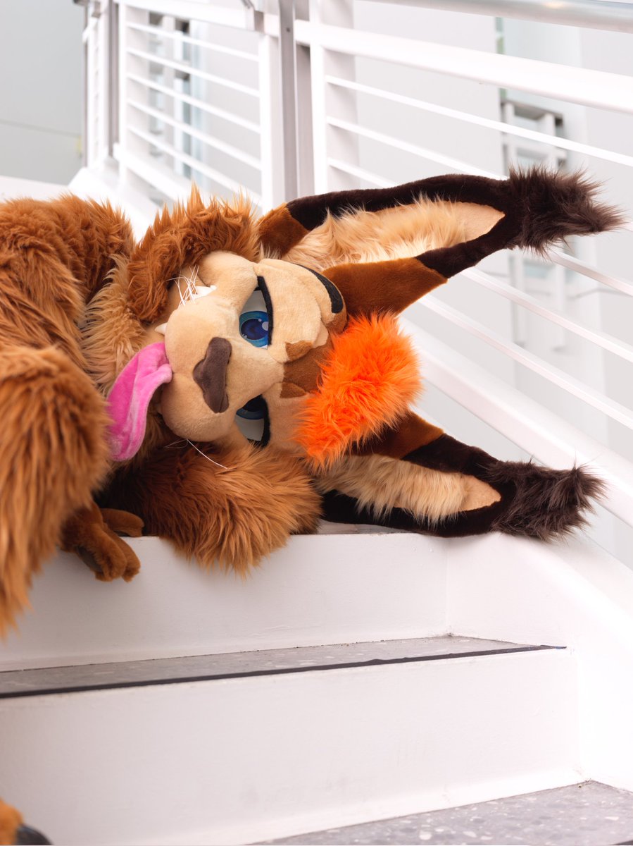 I take a nap right here....

Happy #fursuitfriday ! #fursuit

📷 <a href="/ServalDog/">ServalDog</a>
🧵 <a href="/MoreFurLess/">More Fur Less</a>