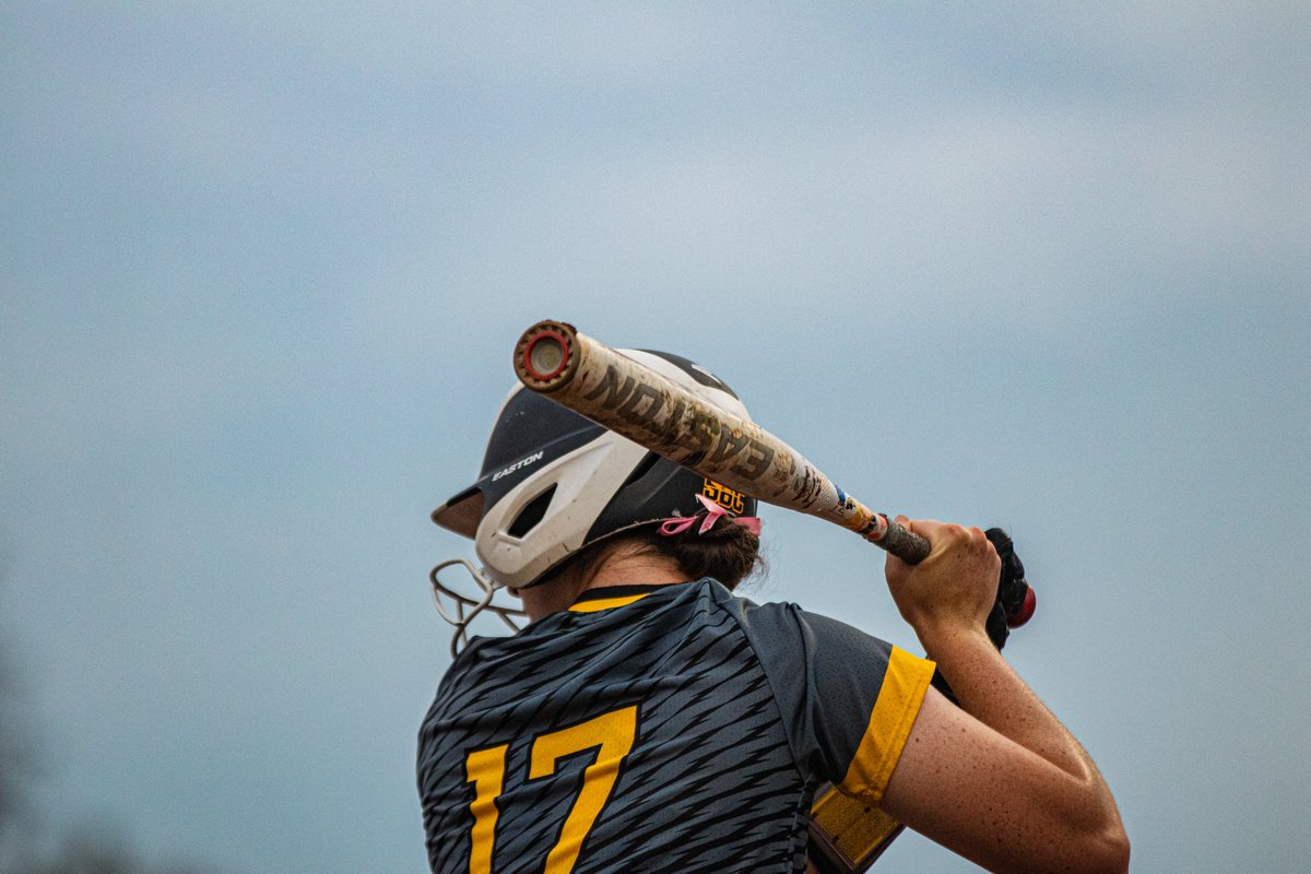 Southern Miss Softball tweet media