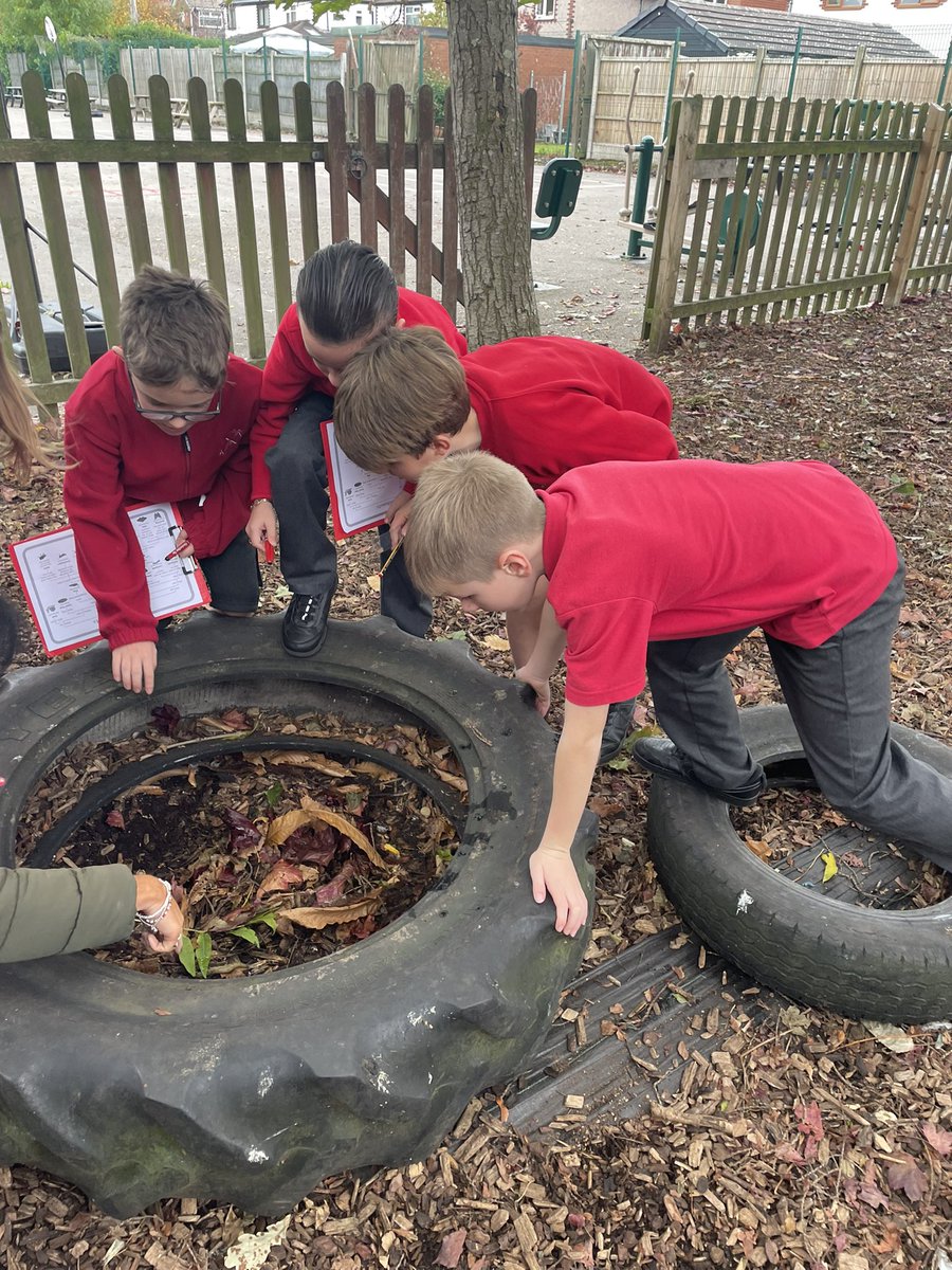 HMillSchool's tweet image. Team 4 loved exploring the local environment for mini beasts and naming them with a classification key. #sciencelearning