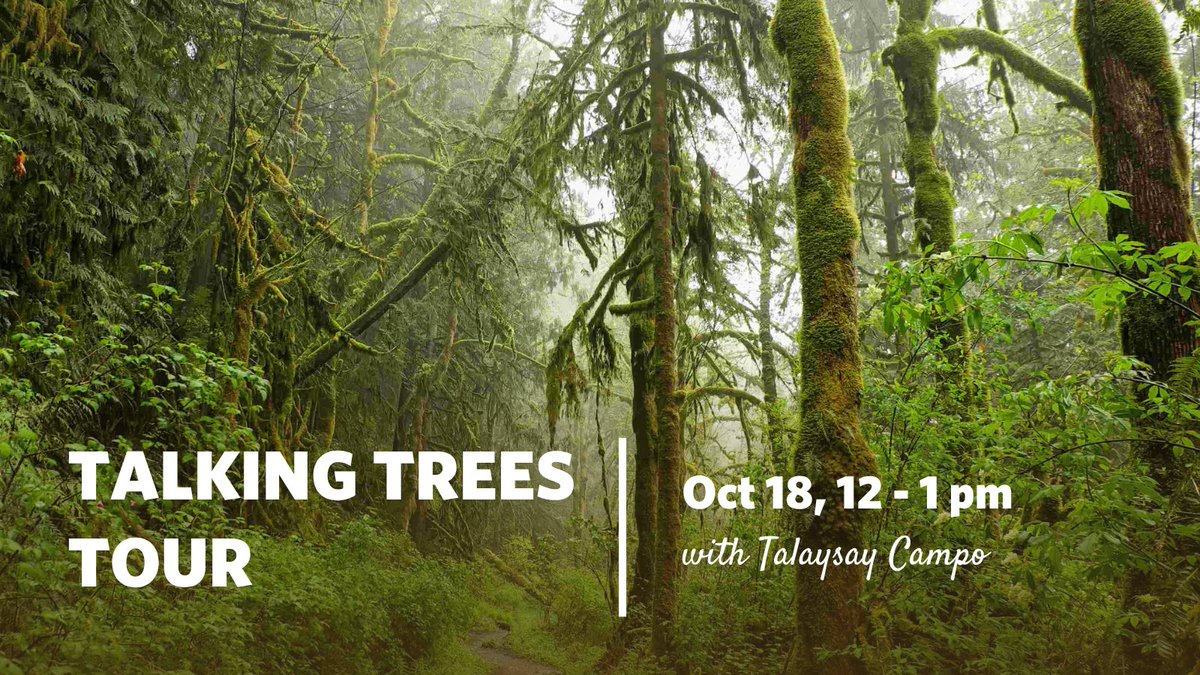 Join for a Talking Trees Tour on Oct 18! This is a signature cultural walking tour offered by Talaysay Tours, where Indigenous guides share traditional knowledge about local plants, trees, and their uses for medicine, technology, and food.

Register here: secure.touchnet.net/C20435_ustores…