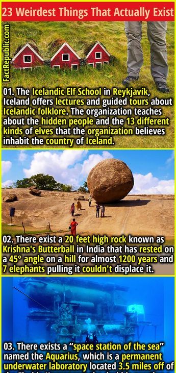 EstellaRol26699's tweet image. #23 #Weirdest #Things #You #Won’t #Believe #Actually #Exist - #Fact #Republic