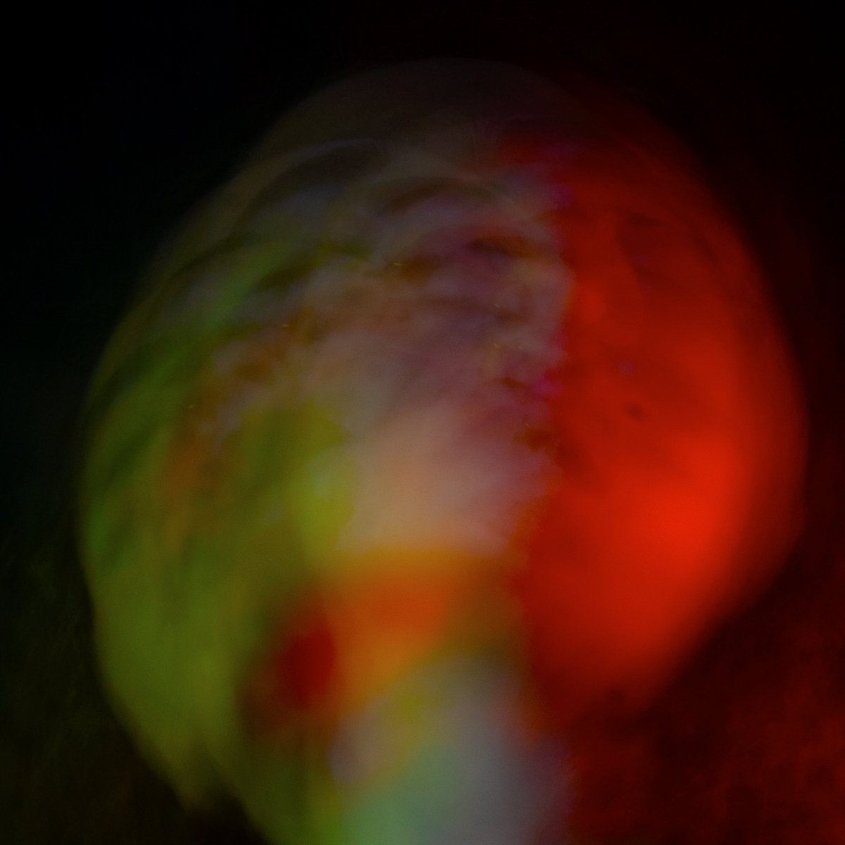 simonofnowhere's tweet photo. No Hay Dónde Ir
ÁLBUM DEBUT
24.10.25 https://t.co/fPgQINYEE8