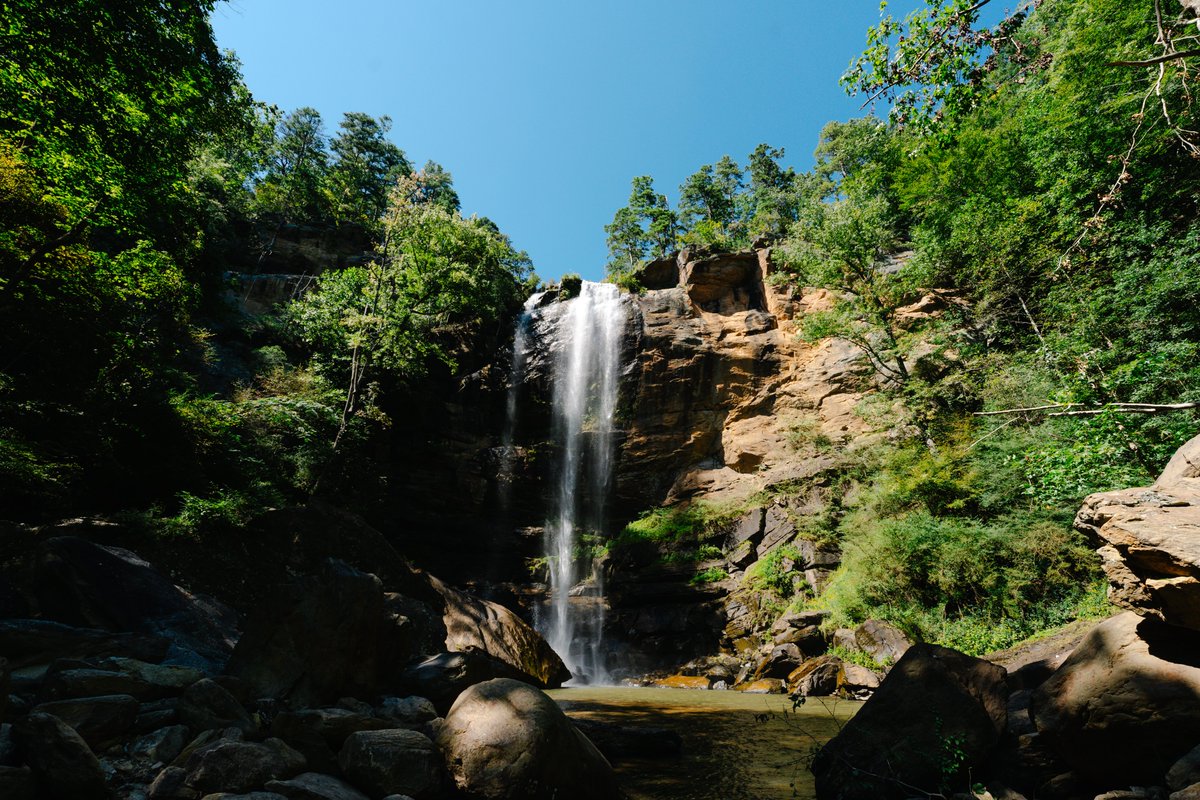Toccoa Falls College was honored to receive the Tourism Award at the 2025 Chamber Awards, recognizing our role in welcoming thousands of visitors each year to experience the beauty of Toccoa Falls and our Christ-centered campus community. 🎉

Read More: tfc.edu/news/tfc-recei…