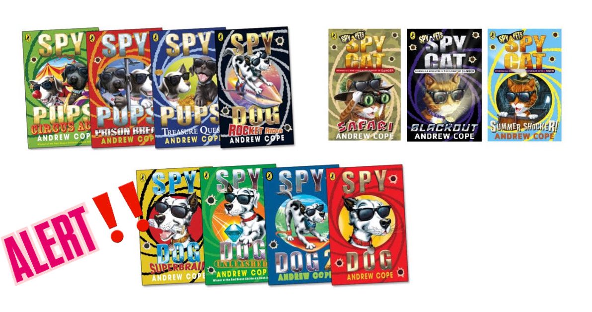 ‼️IMPORTANT SAFEGUARDING NOTICE‼️