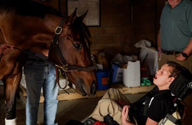 Horse Racing Nation tweet media