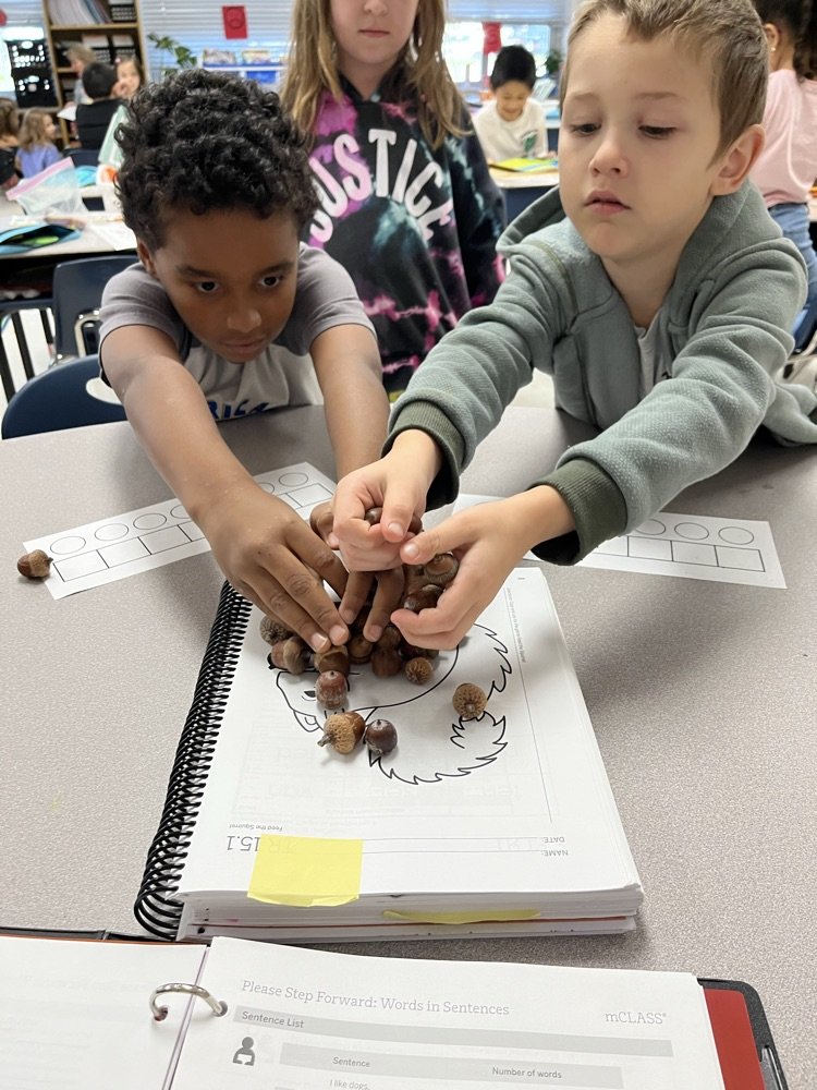 We love using acorns as manupulatives to count words in sentences and "Feed the Squirrel"!