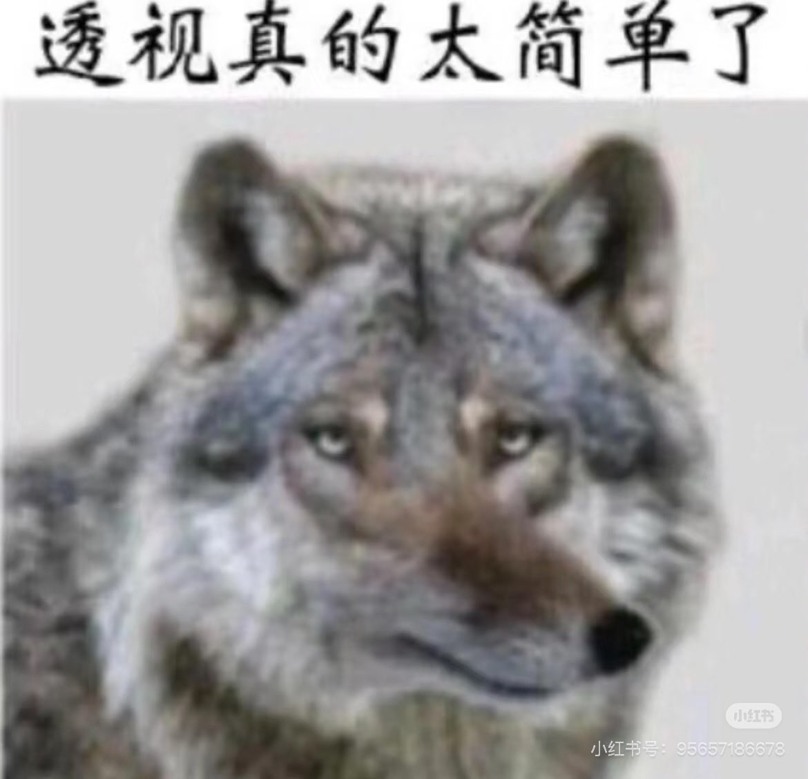 SOYSAUCE tweet media