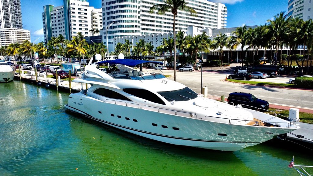 The Bitcoin Comedy tweet media