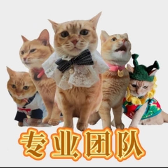 提莫 OKX tweet media