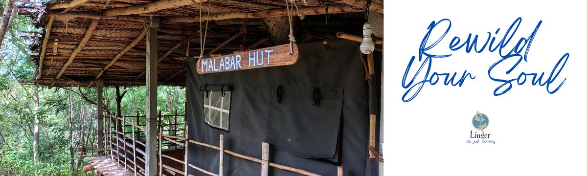 do nothing vacations tweet media