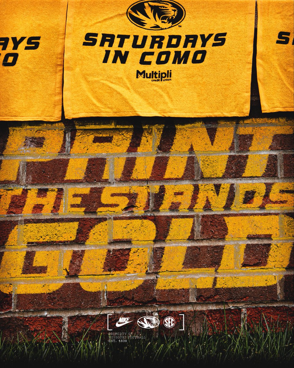 Show up early. Wear gold. Wave the towel. Be loud. 

#MIZ | #STP