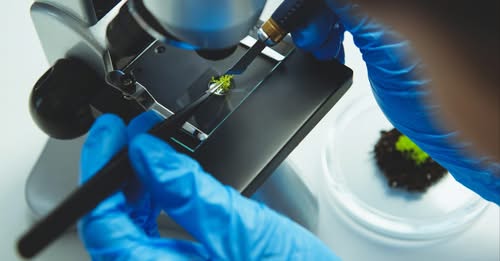 🚨 Big news from CFAES!
22 researchers have been named among the World’s Top 2% Scientists by Stanford/Elsevier! 🌍👏
From soil health and food safety to honeybee survival, our researchers are shaping global science. 🐝🌾🥩

🔗 Read More: go.osu.edu/C95e