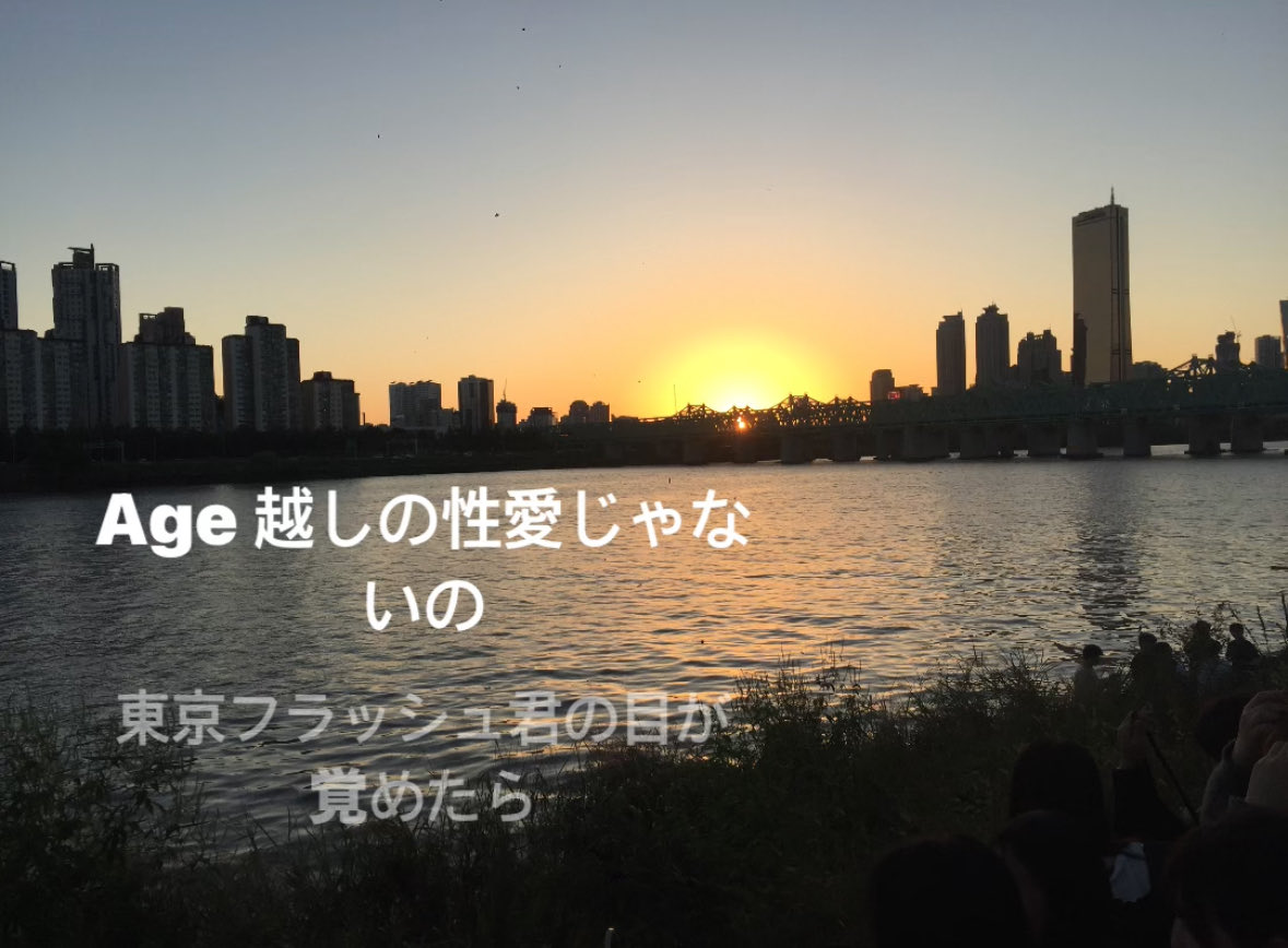 노들섬공사하지마..