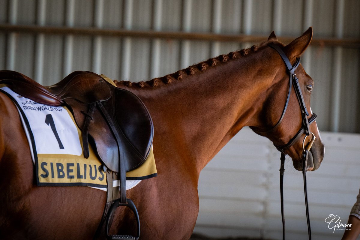 Kentucky Performance Products tweet media