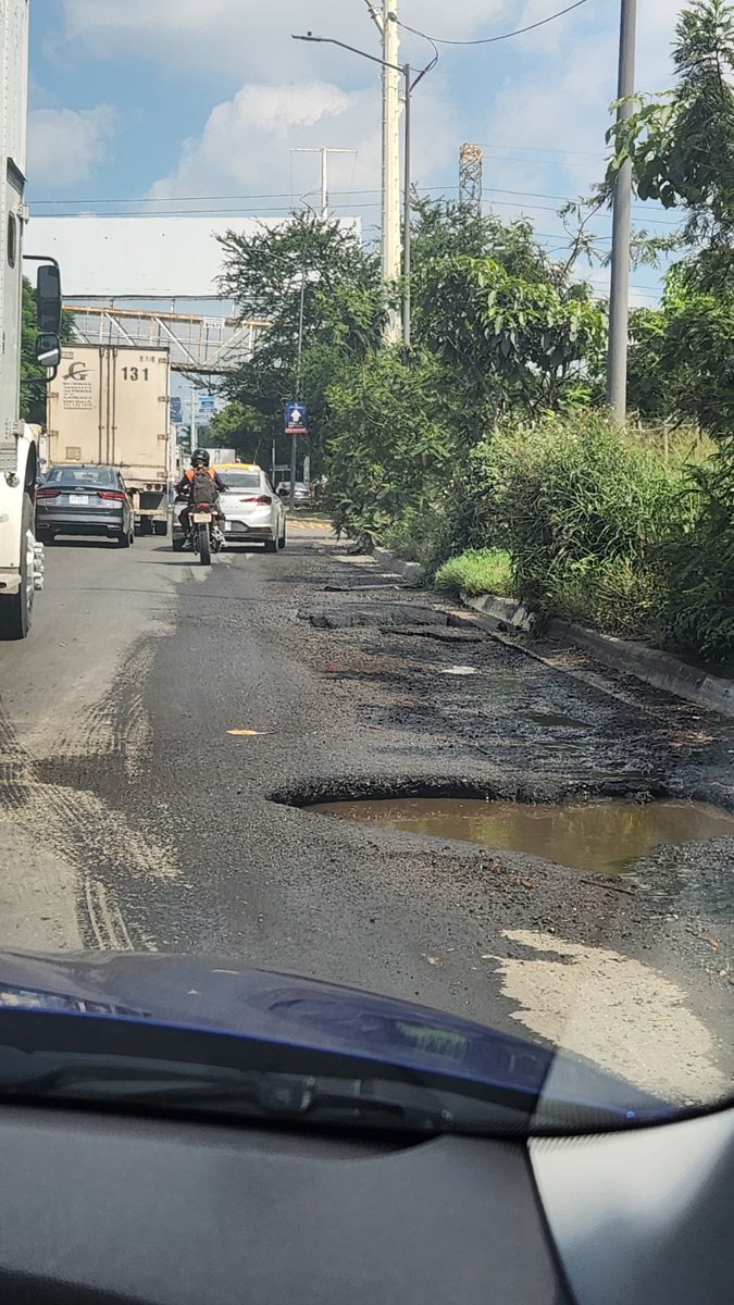 Colectivo Vecinal Bosque Urbano Tlaquepaque tweet media