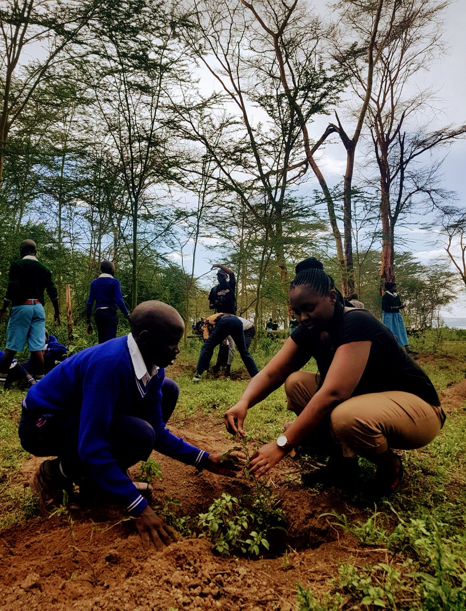 TheTree_Oclock's tweet image. Our future grows from the seeds we plant today. Let’s choose green. 🌍🌳🌱🇰🇪 
#MazingiraDay2025KE #ProtectOurPlanet