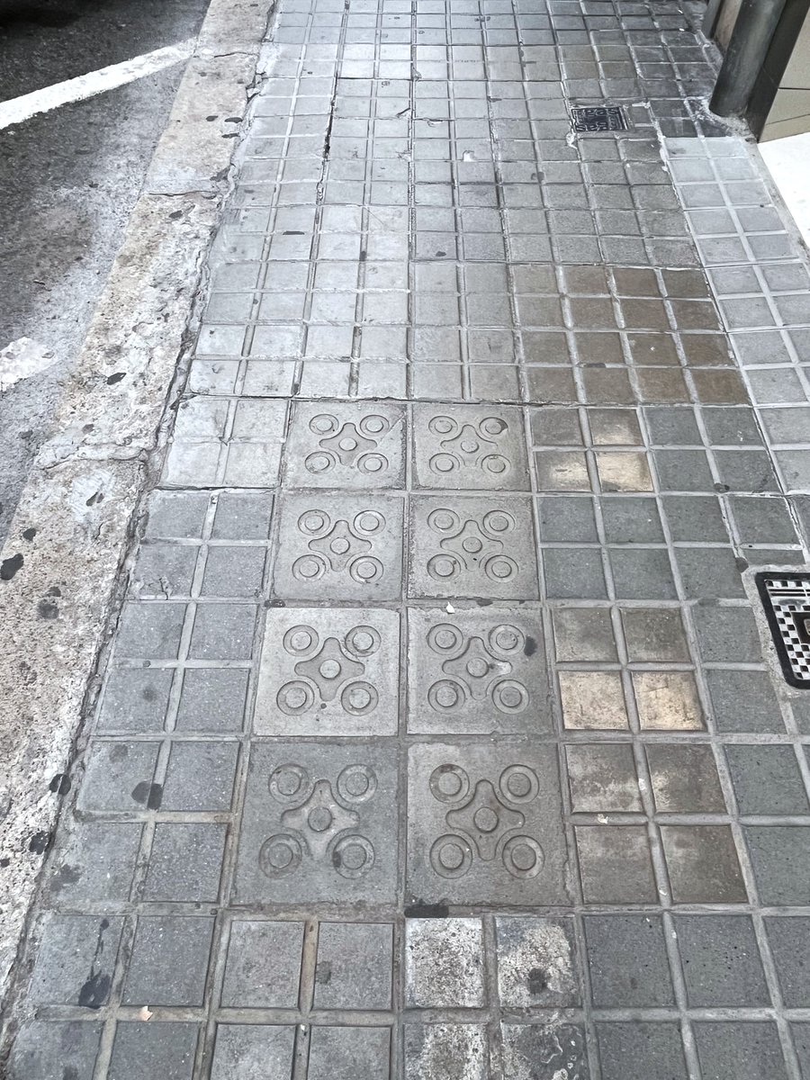 Bcnsingular's tweet photo. Una expedició de #panots 'calavera' en una vorera dominada per les 'quatre preses' (Granada del Penedès 18-20 #StGervasiGalvany) https://t.co/nus4WrslsE