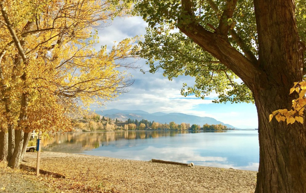 Wishing all of you a Happy Canadian #Thanksgiving Day weekend. Take some time for yourself. You deserve it!
🙂🧠
{Photo is from a recent walkitation at Lake Osoyoos. Nature is healing and restorative. Spending time in nature encourages reflections on our blessings, and to be