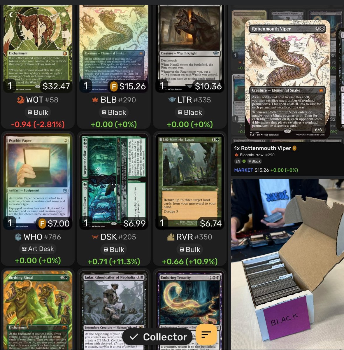 I’ve scanned (and mostly sorted) over 2500 cards so far. That’s a lot of cards! But I probably have close to 10,000 or so more to go! Thankfully, my son has been helping me get it all sorted. 🥰