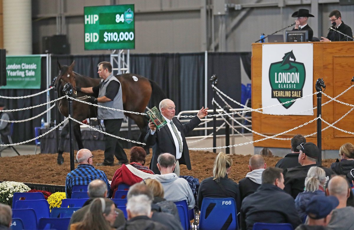 The <a href="/LdnClassic/">London Classic Yearling Sale</a> sale is primed for big numbers thanks to a strong catalog of Ontario-sired horses and the addition of several exciting new stallions to the province. ontarioracing.com/News-and-Resul… #betontario
