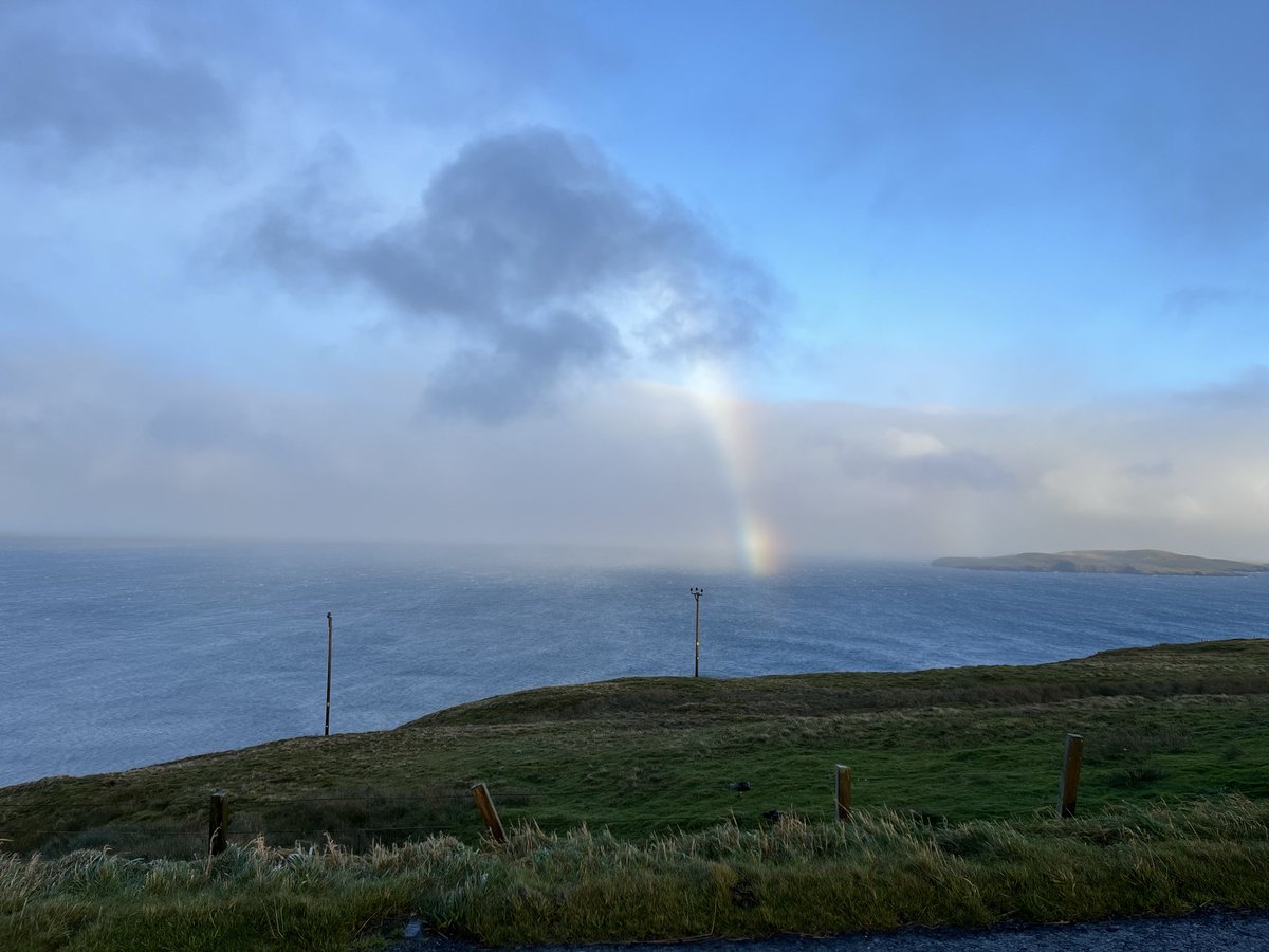 Colin Green (@greeny1955) on Twitter photo Day 8 on Shetland. Trying to stay out of the wind today was nigh impossible & with pulses of rain didn’t make birding any better. Sandwick was fairly calm & a Long-tailed Duck was nice.But even better was at least 3 Orca’s going North from Sumburgh, we got them at Levenwick Day 8 on Shetland. Trying to stay out of the wind today was nigh impossible & with pulses of rain didn’t make birding any better. Sandwick was fairly calm & a Long-tailed Duck was nice.But even better was at least 3 Orca’s going North from Sumburgh, we got them at Levenwick