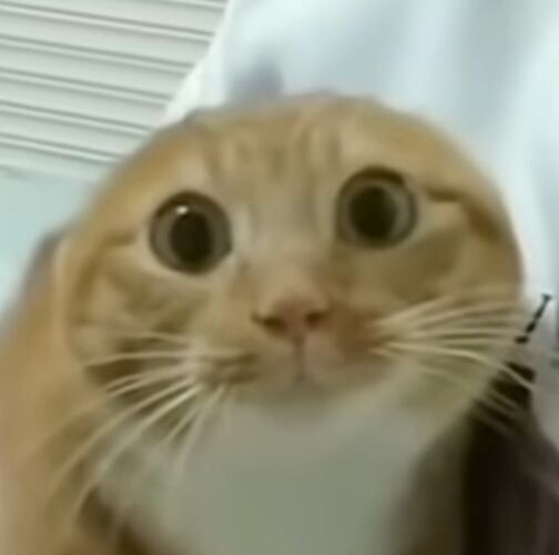 你们怎么都是高高瘦瘦身材那么好😭😭
羡慕