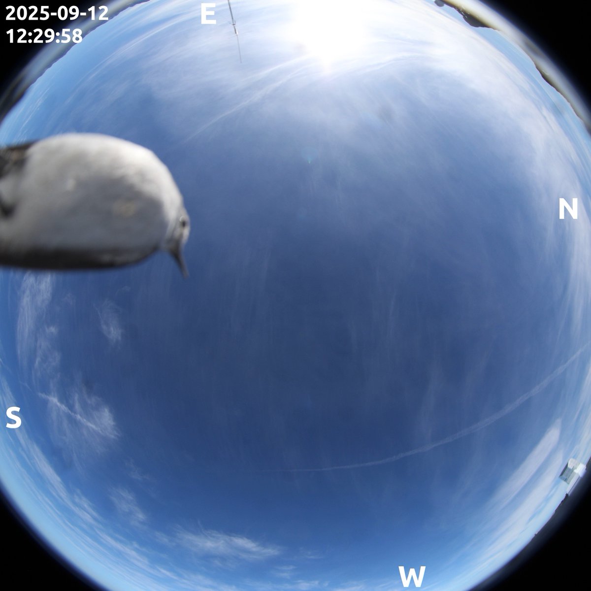 NSF-DOE Rubin Observatory tweet media