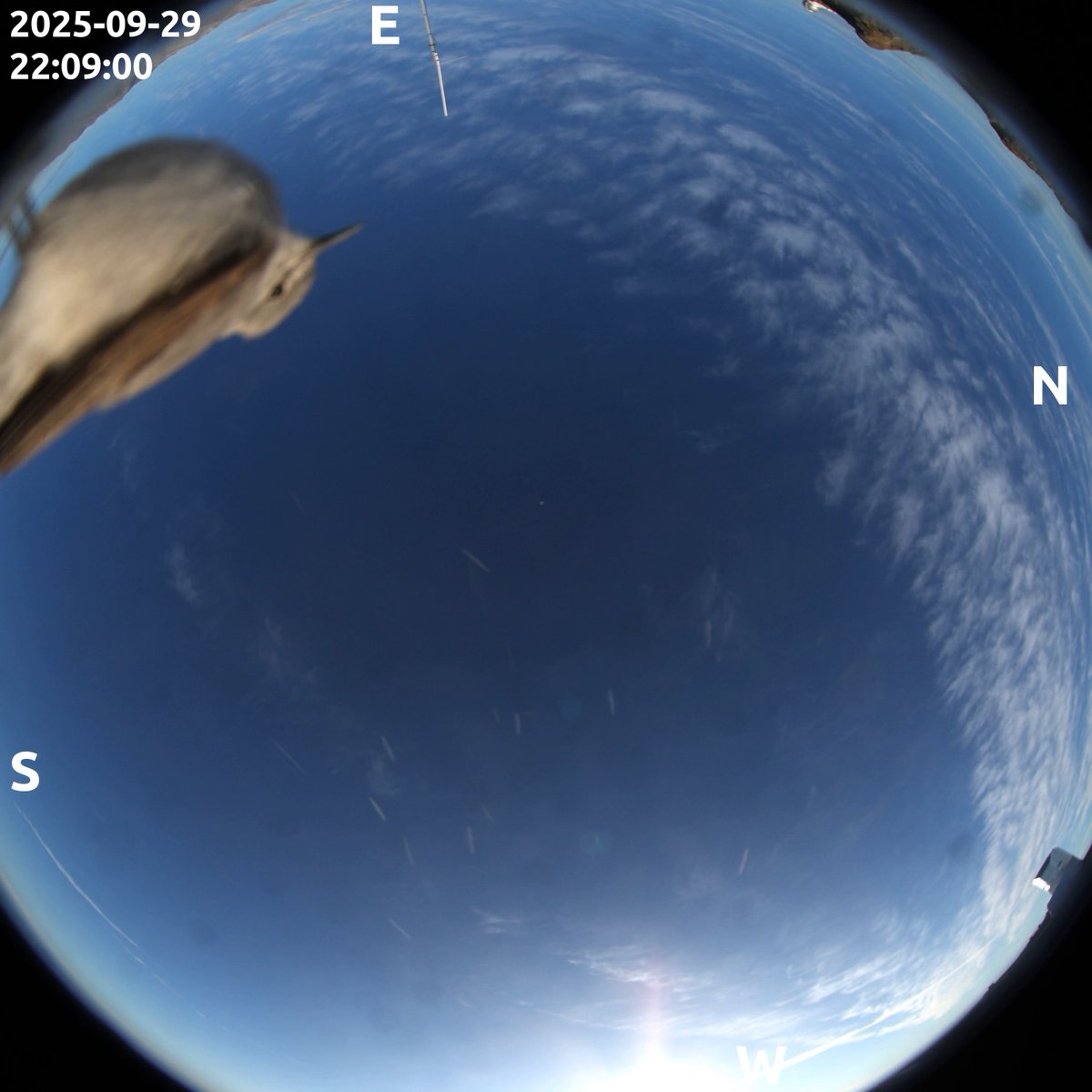 NSF-DOE Rubin Observatory tweet media
