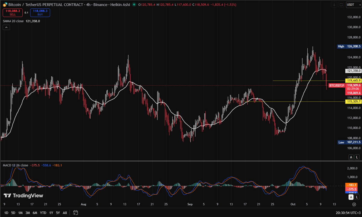 BigDadMikel's tweet photo. $BTC short-term bearish target would be $115k to $116k. What do you think? #BTC #BTCUSDT https://t.co/gp8VAbygo3