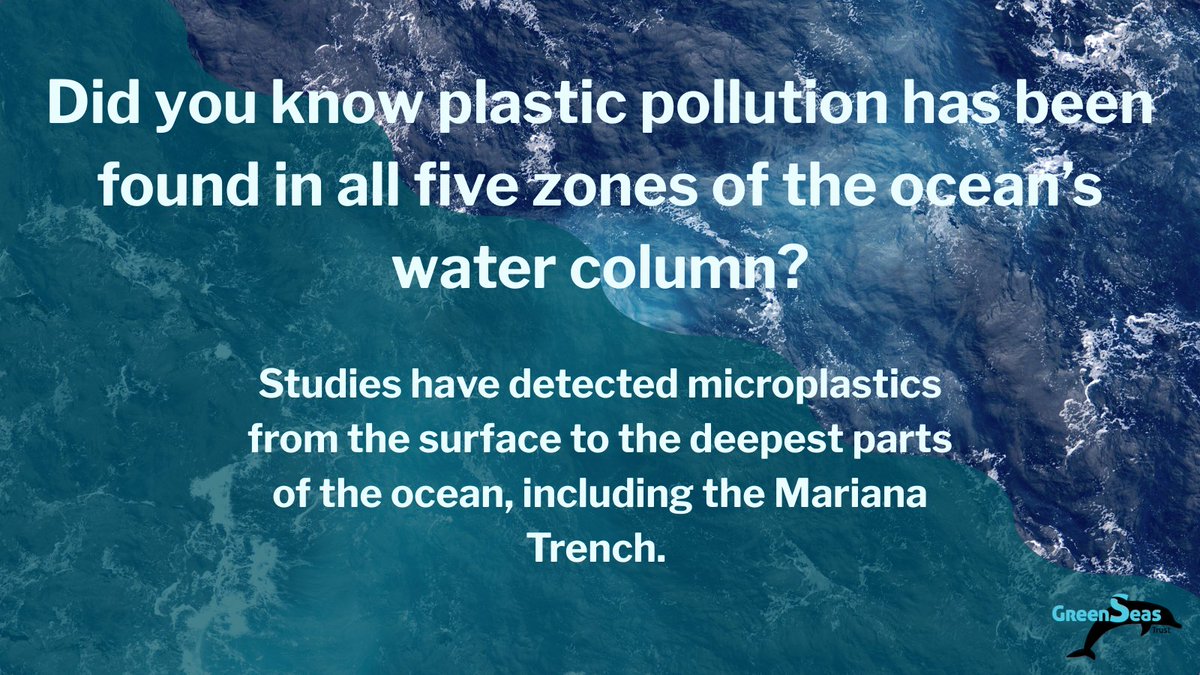 GreenseasOrg's tweet image. Microplastics have been discovered at all ocean depths, from the sunlight zone to the Mariana Trench in the hadal zone.

Their presence reveals how widespread and persistent plastic pollution is, even in the most remote parts of our oceans.

#PlasticPollution #Ocean