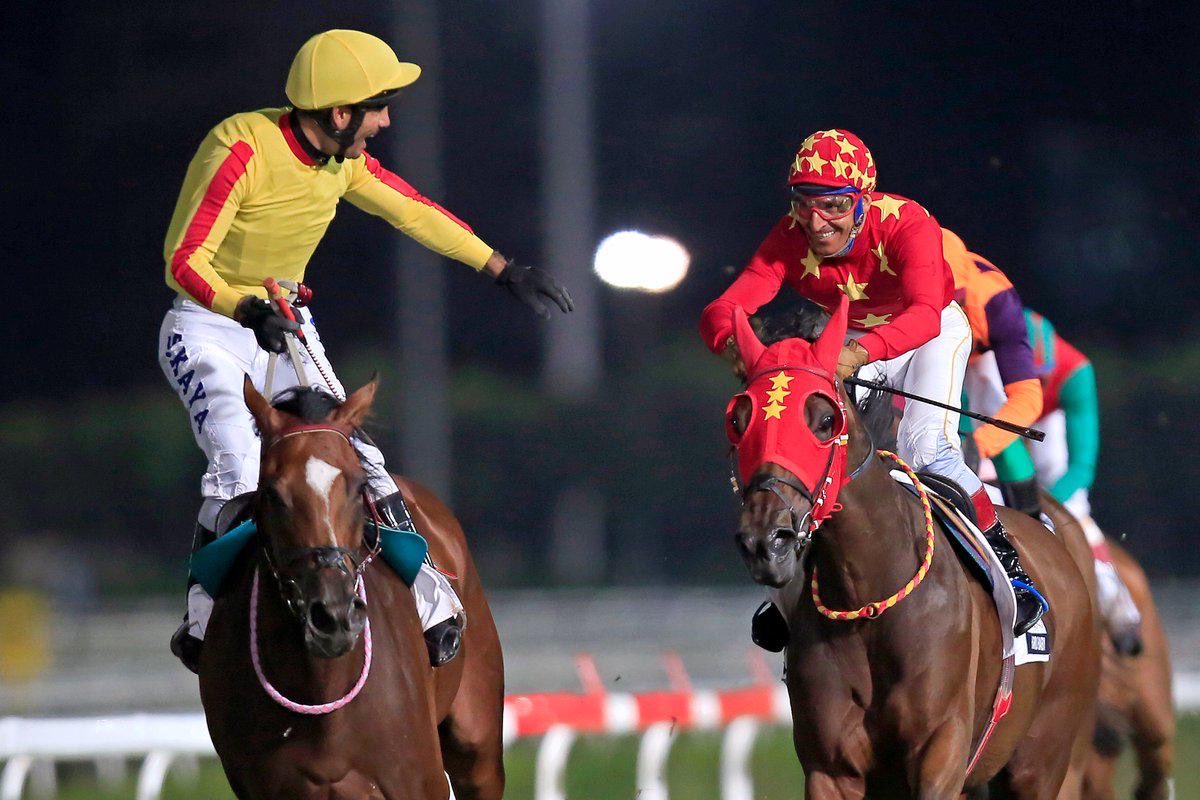 Sıdık Kaya tweet media