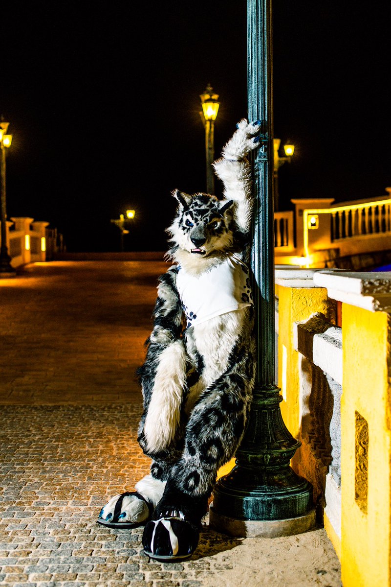 Night walk at #Okikemo #おきけも#FursuitFriday 

📸: <a href="/wolfroof/">うぇあ/ware</a>